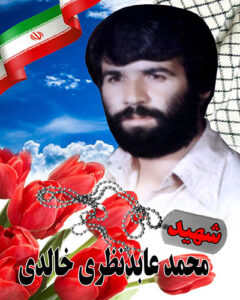 عابدنظری
